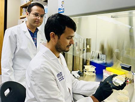 K-State biologists' discovery could help treat fatal, drug-resistant pneumonia and sepsis