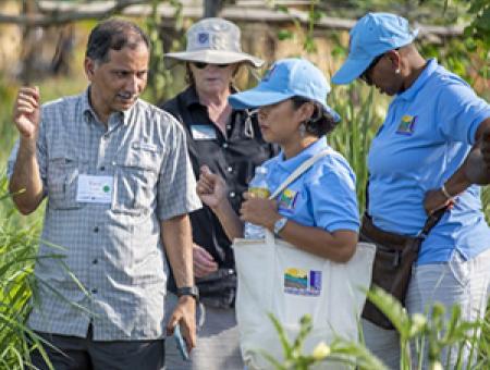 USAID selects K-State for multimillion-dollar project on climate resilience and sustainable intensification of agriculture