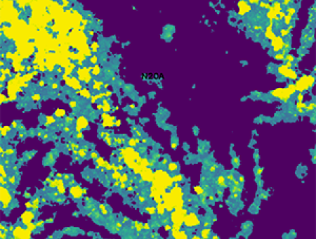 K-State research takes flight to combat woody encroachment with precision mapping