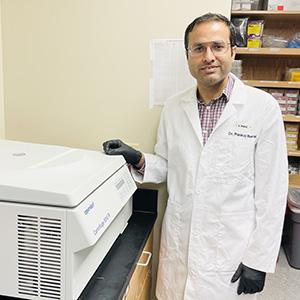 K-State biologist receives $1.87M grant to explore cell interactions that fight inflammatory diseases