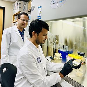 K-State biologists' discovery could help treat fatal, drug-resistant pneumonia and sepsis