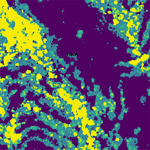 K-State research takes flight to combat woody encroachment with precision mapping